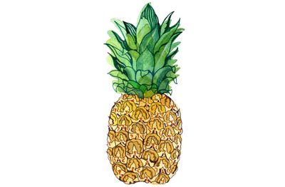 Why do pineapples have spiky leaves and do sharks sleep? Try our kids’ quiz