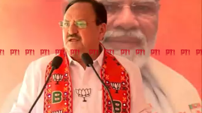 PM Modi changed country's political culture in 10 years: Nadda