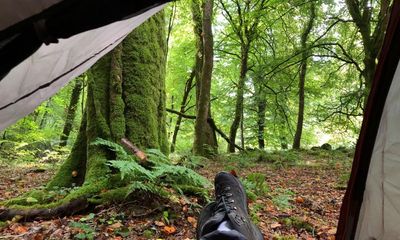 ‘Deep in the woods, 10 minutes from my car’: the platform helping wild camping beginners find a pitch