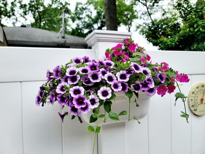 This Viral "Fence Pot" Planter is the Best Way to Add Beautiful Blooms to a Boring PVC Fence