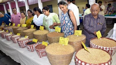 Desi Rice Mela highlights agro-diversity of the State