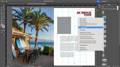 Adobe InDesign (2024) review