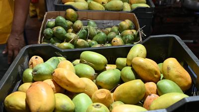 FSSAI asks fruit traders, food biz not to use banned product 'calcium carbide' for fruit ripening