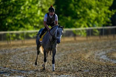 Seize the Grey wins the Preakness for D. Wayne Lukas and ends Mystik Dan’s Triple Crown bid