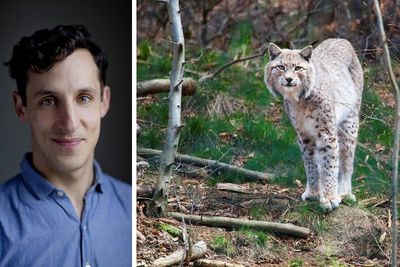 'They’re nobody’s fool': Children's author on why kids should learn about rewilding