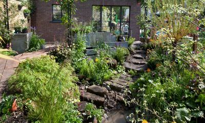 ‘Embrace the bog’: Chelsea flower show expert champions flood-proof garden