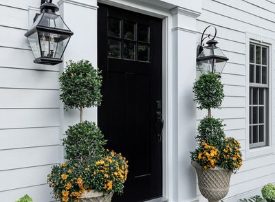 How to Paint an Exterior Door — Expert Tips for a Professional Finish That Promises to Last