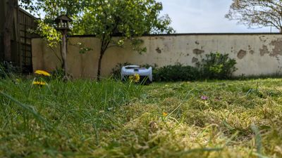 What is the best fertilizer for the lawn? Expert tips for achieving a nutrient-rich lawn