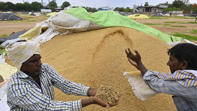 Opposition leaders asked not to politicise paddy procurement