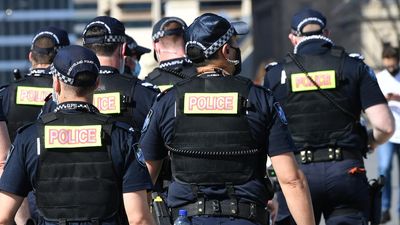 Vigilante warning as former MP hurt in alleged assault