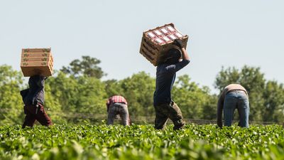 More resources: Department of Labor expands Spanish-language video catalog for migrant workers