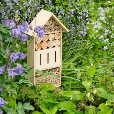 How to make a bug hotel and transform your garden into a thriving minibeast haven