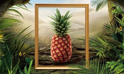 California’s $395 pineapple highlights spike in luxury fruit market