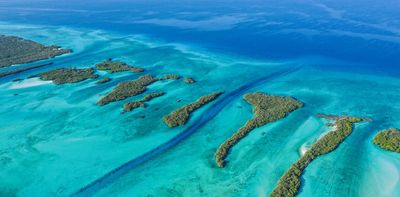 Seychelles: floating baby corals can help save damaged reefs – new study