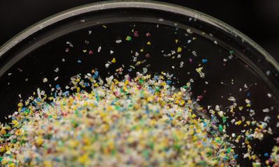 Microplastics found in every human testicle in study