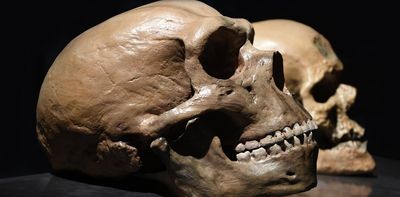 How Neanderthal language differed from modern human – they probably didn’t use metaphors