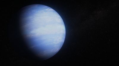The James Webb Space Telescope may have solved a puffy planet mystery. Here's how