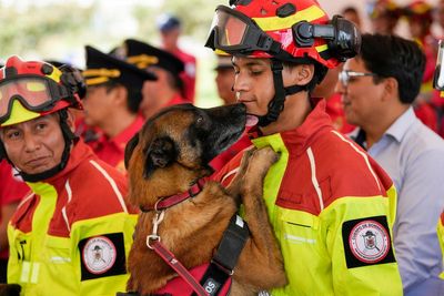 Ecuador's firefighters bestow honors on 5 rescue dogs at retirement ceremony