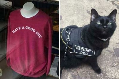 50 Of The Best ‘You Had One Job’ Fails Of All Time