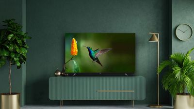 Hisense vs TCL — Both TV Brands For the Budget-Conscious, But Which is Our Pick For 2024?