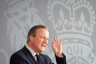 'No one has been tougher on Israel than me,' David Cameron claims