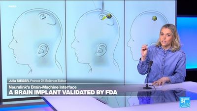 US FDA approves Neuralink's brain chip implant for second patient