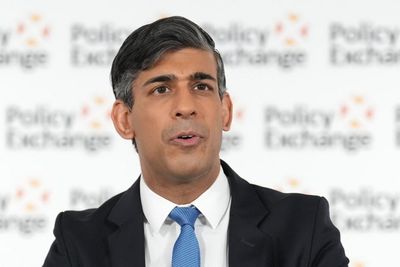 Listen to Tory critics and change path on graduate visa changes, Rishi Sunak told