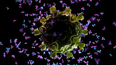 In a 1st, HIV vaccine triggers rare and elusive antibodies in human patients