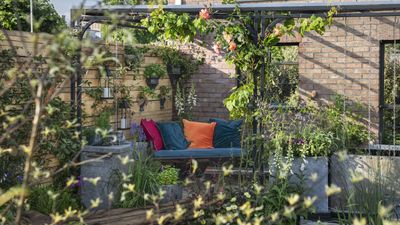 RHS Chelsea Flower Show designers reveal how to make your yard flood-resilient – 5 ways to protect your garden