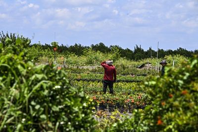 DeSantis signs bill banning Florida agencies from doing business with companies using forced labor