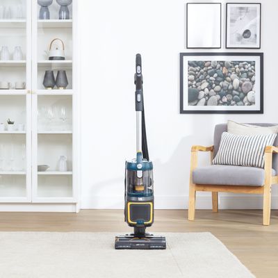 Does vacuuming help with allergies? Yes, but experts say to consider these 3 factors for maximum results