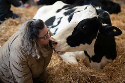 US Dairy Trade Goes Hand In Hand With UN Goals