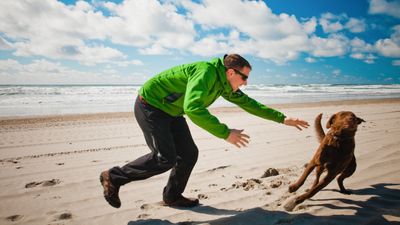 Has your dog's recall gone out the window? Trainer reveals three reasons why (and what to do to fix it)