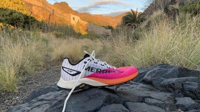 Merrell Long Sky 2 Matryx trail running shoes review: tear down tough, technical trails with confidence