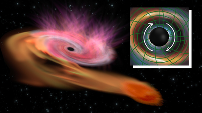 Churning spacetime and destroyed stars help reveal how fast supermassive black holes spin