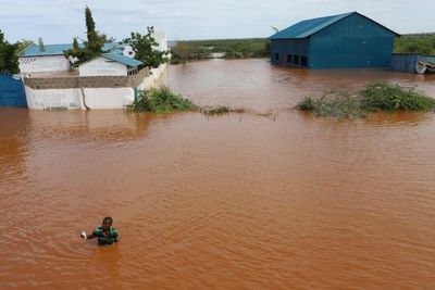 From Zambia to Afghanistan, WFP warns El Niño's extreme weather is causing a surge in hunger