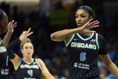 WNBA rookie Angel Reese is now the minority owner of a pro sports team