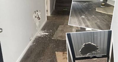 Vandals rack up $50k damage bill trashing new homes