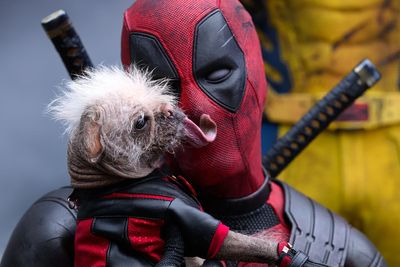 Deadpool & Wolverine’s marketing campaign thinks you’re an idiot