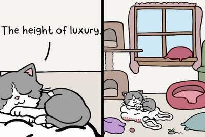23 Hilariously Accurate Comics Featuring Cats, Other Animals, And A Boyfriend, By This Artist (New Pics)