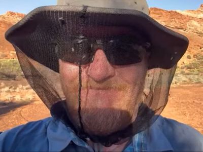 Freak weather causes ‘absolutely shocking’ plague of bush flies in Australia