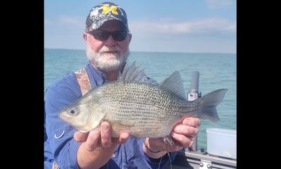 Angler adds to ‘world champ’ status with ‘monstrous’ white perch