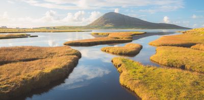 Saltmarshes do store carbon, but their climate impact may have been overestimated