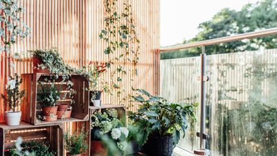How to enclose your apartment balcony — 7 pro tips for creating a quiet retreat in a busy space