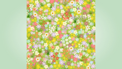 Optical illusion: Only a true nature lover can spot the hidden butterfly