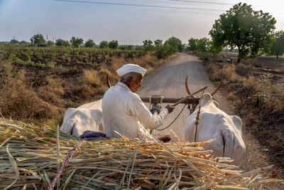 Farmers in India are weary of politicians' lackluster response to their climate-driven water crisis