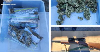 Guns, cannabis, fireworks, cash: police haul in drug supply arrest
