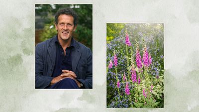Monty Don says these are the only plant seeds you should be sowing this month