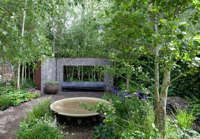 At the Chelsea flower show, foliage is in. Which bodes well for small gardens