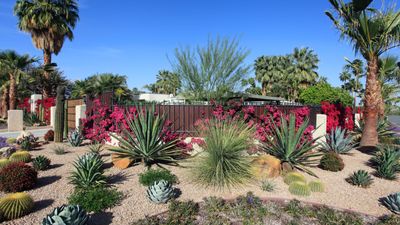 How to xeriscape — 7 steps for creating a stylish yet low-maintenance yard